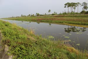 ''17395'' 94th Street, Loxahatchee, FL 33470 - MLS#R11096070