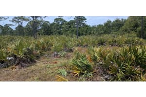 000 None, Grant Valkaria, FL 32950 - MLS#R11096825