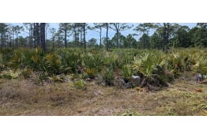 000 None, Grant Valkaria, FL 32950, Grant Valkaria, FL 32950 - MLS#R11096825