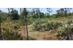000 None, Grant Valkaria, FL 32950, Grant Valkaria, FL 32950 - MLS#R11096825