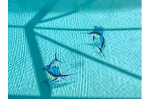 344 NW Stratford Lane, Port Saint Lucie, FL 34983 Sold 09/05/25