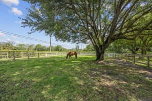 3442 C Road, Loxahatchee Groves, FL 33470 - MLS#R11098546