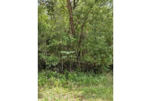 8989 Conch Terrace, Dunnellon, FL 34434 - MLS#R11099339