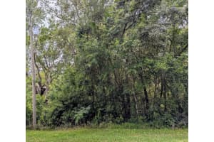 8970 Joann Drive, Citrus Springs, FL 34434 - MLS#R11099359