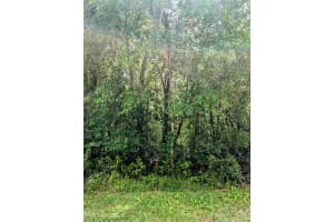 8970 Joann Drive, Citrus Springs, FL 34434 - MLS#R11099359