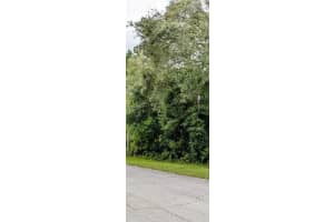 8970 Joann Drive, Citrus Springs, FL 34434 - MLS#R11099359