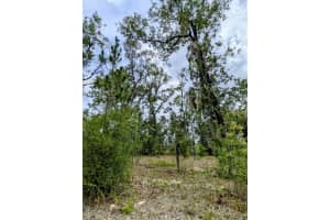 2450 Rutland Drive, Citrus Springs, FL 34434 - MLS#R11099360