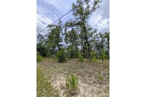 2450 Rutland Drive, Citrus Springs, FL 34434 - MLS#R11099360