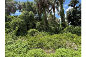 16459 Bauers Avenue, Port Charlotte, FL 33954 - MLS#R11100119