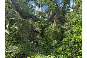 16459 Bauers Avenue, Port Charlotte, FL 33954 - MLS#R11100119