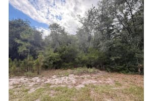 1012 Wildflower Street, Lake Placid, FL 33852 - MLS#R11100274