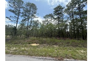 Tbd NW Tree Top Road, Dunnellon, FL 34431 - MLS#R11100460
