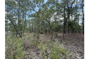 Tbd Tree Top Road, Dunnellon, FL 34431 - MLS#R11100460