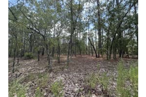Tbd NW Tree Top Road, Dunnellon, FL 34431 - MLS#R11100460
