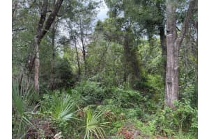 7647 W Springtime Lane, Homosassa, FL 34448 Sold 08/15/25