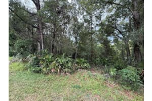 7647 W Springtime Lane, Homosassa, FL 34448 Sold 08/15/25