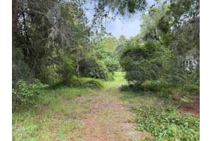 7647 W Springtime Lane, Homosassa, FL 34448 Sold 08/15/25