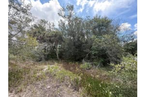 21917 NW 258th Street, Okeechobee, FL 34972 Sold 07/18/25