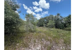 21917 NW 258th Street, Okeechobee, FL 34972 Sold 07/18/25