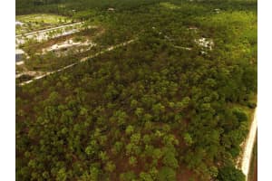 0 91st Street, Fellsmere, Fl 32948, Fellsmere 0 91st Street, Fellsmere, Fl 32948, Fellsmere