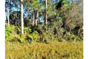 0 Rosa Avenue, North Port, FL 34286 - MLS#R11102771