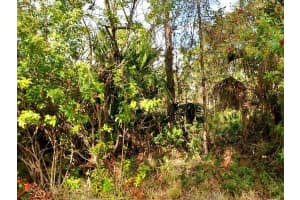 0 Haffenberg Ave Avenue, North Port, FL 34288 - MLS#R11102788