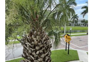 3303 E Mallory Boulevard, Jupiter, FL 33458 - MLS#R11103838
