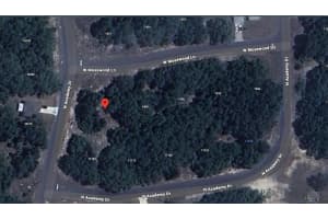 1425 W Mosswood Lane, Citrus Springs, FL 34434 Sold 10/15/25