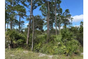 0 Top Trail, Fort Pierce, FL 34951 Sold 08/11/25