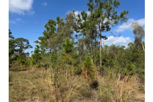 0 Top Trail, Fort Pierce, FL 34951 Sold 08/11/25