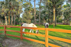 14370 Caloosa Boulevard, Palm Beach Gardens, FL 33418 Sold 11/18/25