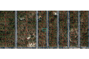 00 131st Avenue, Dunnellon, FL 34431 - MLS#R11108531
