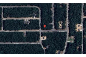 9123 N Patch Drive, Citrus Springs, FL 34434 Sold 10/21/25