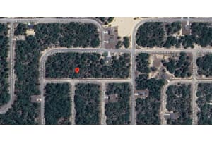 3593 W Whipple Lane, Citrus Springs, FL 34433 Sold 10/03/25