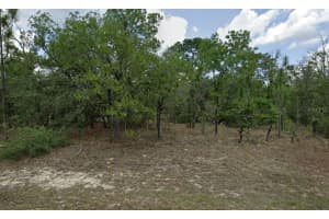 3593 W Whipple Lane, Citrus Springs, FL 34433 Sold 10/03/25