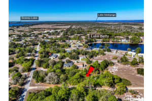 224 Starlight Avenue, Lake Placid, FL 33852 - MLS#R11109273