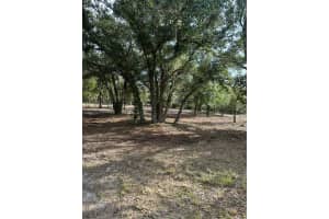 22134 NW 264th Street, Okeechobee, FL 34972 - MLS#R11110055