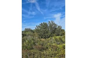 21971 NW 276th Street, Okeechobee, FL 34972 - MLS#R11110368