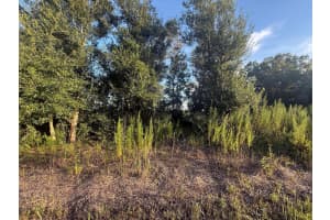 19426 NW 270th Street, Okeechobee, FL 34972 - MLS#R11112261