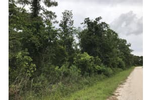 1126 Greenfield Street, Lake Placid, FL 33852 - MLS#R11113166