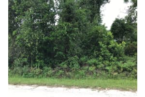 1126 Greenfield Street, Lake Placid, FL 33852 - MLS#R11113166