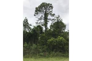 1126 Greenfield Street, Lake Placid, FL 33852 - MLS#R11113166