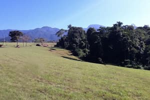 000000 Quintas Berninas Other, FL 00000 - MLS#R11113310