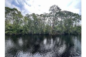 1123 Greenfield Street, Lake Placid, FL 33852 - MLS#R11114799