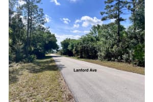 332 Lanford Avenue, Lehigh Acres, FL 33974 - MLS#R11115339