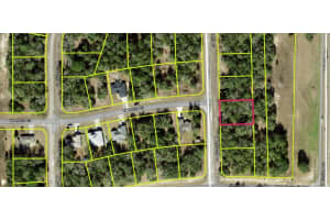 11034 N Academy Drive, Citrus Springs, FL 34434 Sold 10/02/25