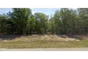 11034 N Academy Drive, Citrus Springs, FL 34434 Sold 10/02/25