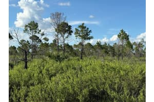 15827 NW 272nd Street, Okeechobee, FL 34972 Sold 09/10/25