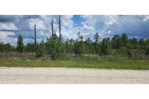 - Scissorbill Avenue, Brooksville, FL 34614 - MLS#R11115889