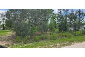 0 Red Bone Avenue, Brooksville, FL 34614 Sold 09/29/25